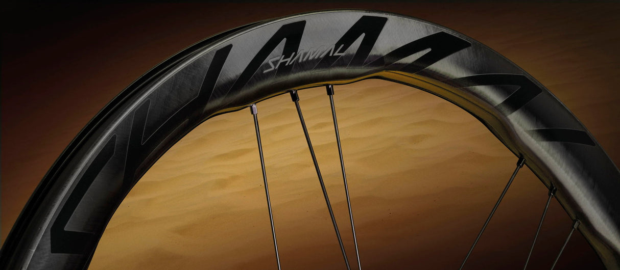 Campagnolo 28", Carbon, CL, SRAM XDR HR-Laufrad Shamal DualProfile DB C23 2WF
