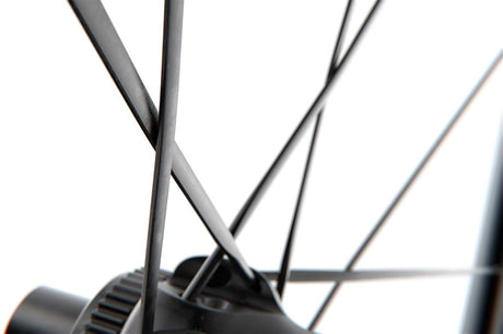 DT Swiss 28",Alu,CL,142/12mm TA,Shim. RD 12SP HR DT Swiss G1800 Spline 25 DB 28"/24