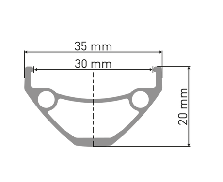 DT Swiss 26",Alu,sw,IS-6-b,SinglSp,135/10bolt on HR DT Swiss D 1900 Classic DB 26"/30mm