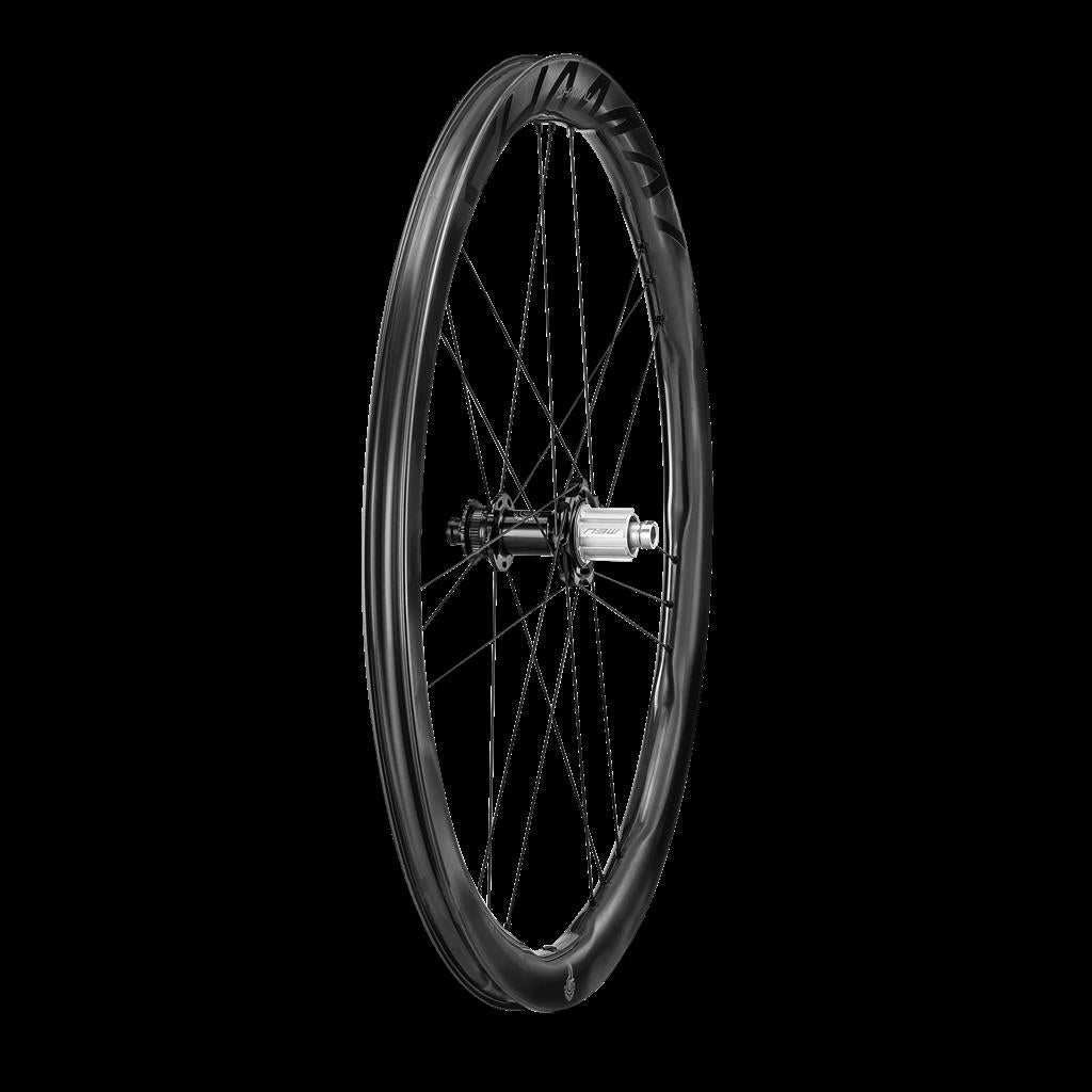 Campagnolo 28", Carbon, CL, SRAM XDR HR-Laufrad Shamal DualProfile DB C23 2WF