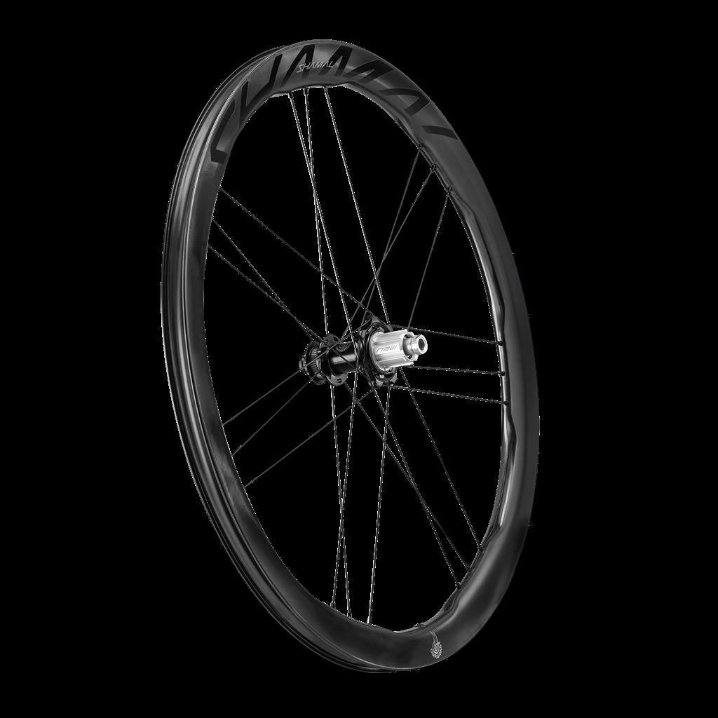 Campagnolo 28", Carbon, CL, SRAM XDR HR-Laufrad Shamal DualProfile DB C23 2WF