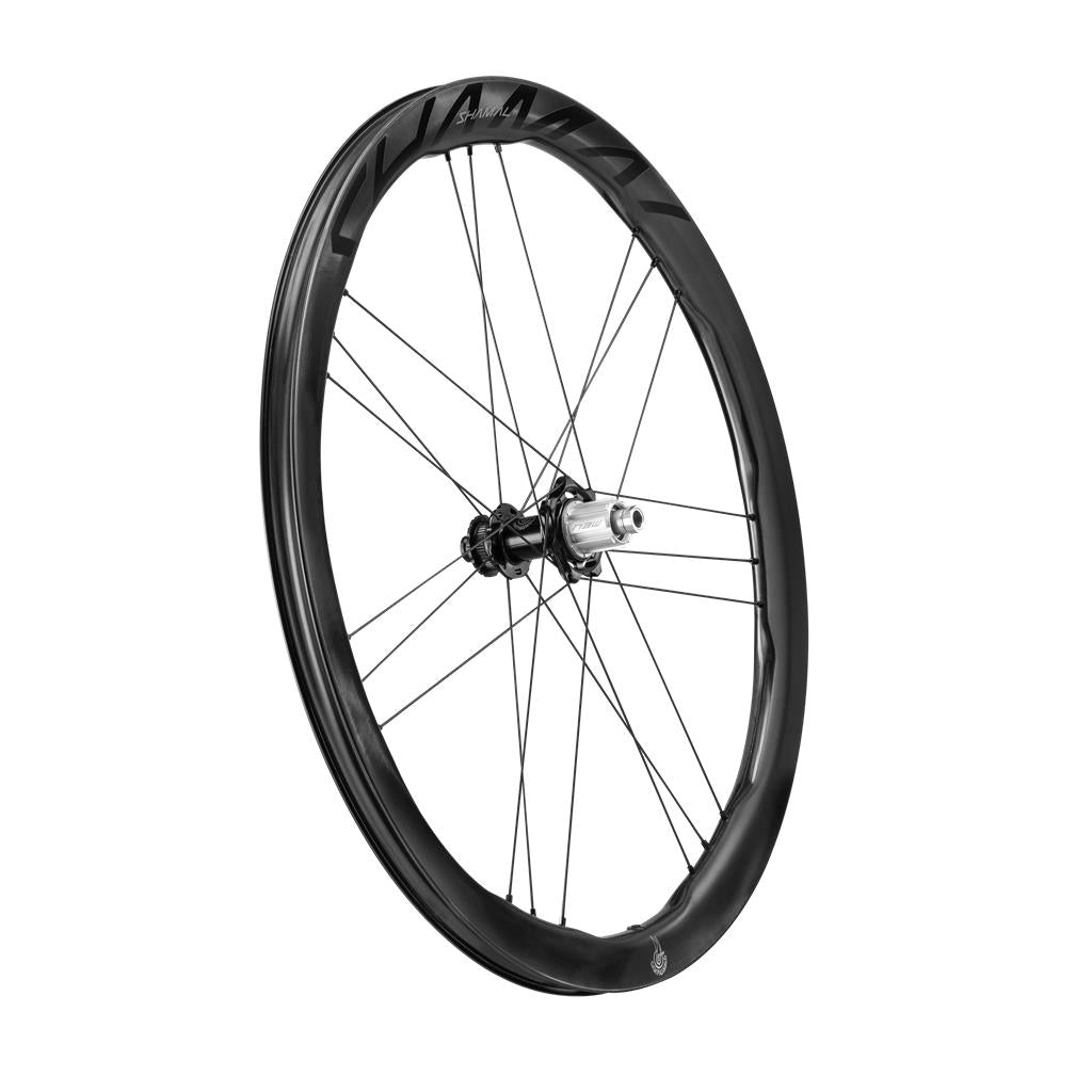 Campagnolo 28", Carbon, CL, Campagnolo N3W HR-Laufrad Shamal DualProfile DB C23 2WF