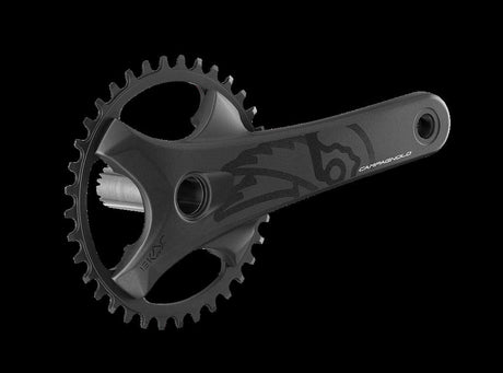 Campagnolo 13-fach,42Z.,175mm,Q-f.151mm,BCD 104mm KRG Ekar GT 13s