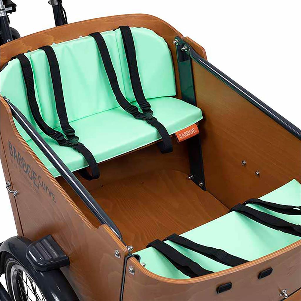 Babboe Minty Green, für Curve Kissenset Babboe