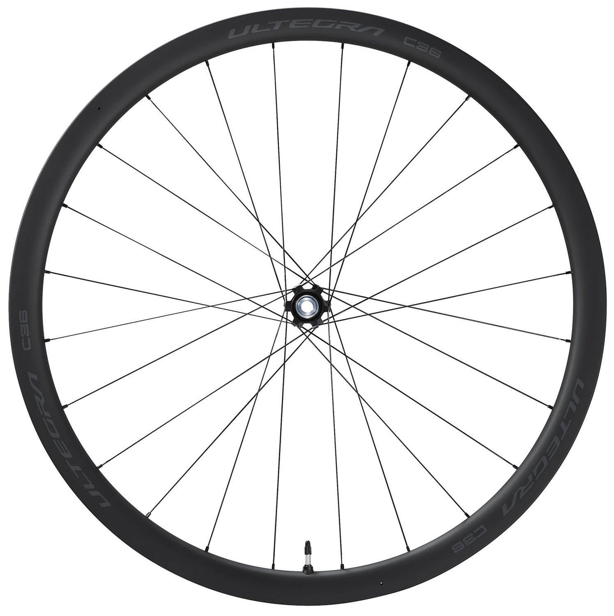 Shimano Hr.Laufrad Wh-R8170-C36-Tl